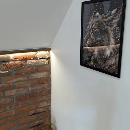Willa Król Puszczy - Unikatowy Dom, Jezioro 80m, Szlak Krutyni Ruciane-Nida