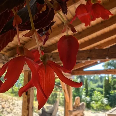 Vila Krol Puszczy - Unikatowy Dom, Jezioro 80m, Szlak Krutyni