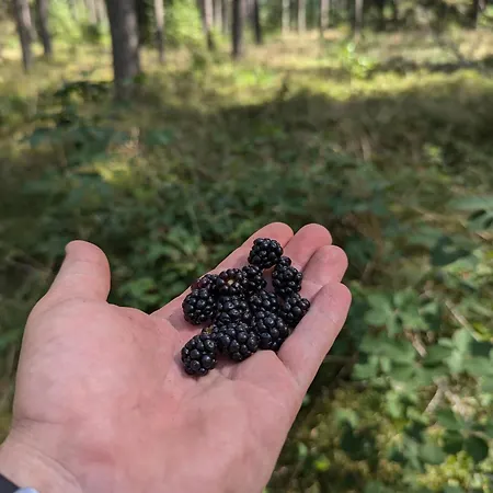 Vila Krol Puszczy - Unikatowy Dom, Jezioro 80m, Szlak Krutyni Ruciane-Nida